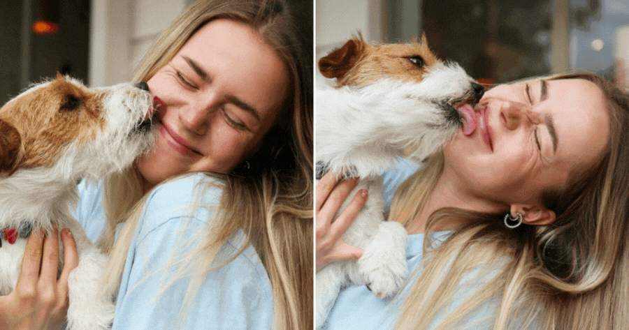 How Does Your Pets Feel About You, Friend Or Enemy?